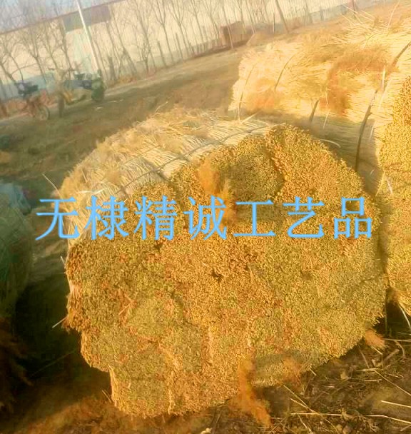 芦苇捆
