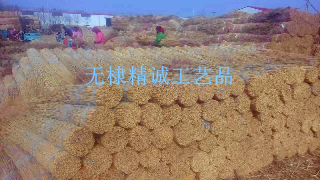 芦苇捆