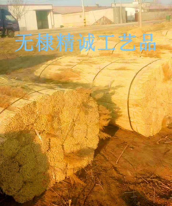 芦苇捆
