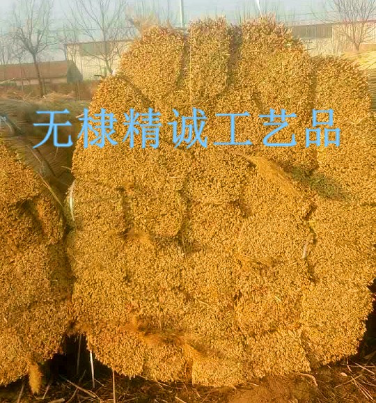芦苇捆